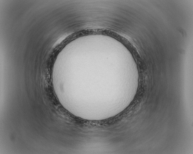 X0000111430871200908031329