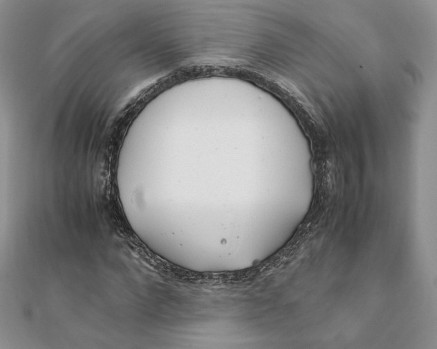 X0000111430872200908031329