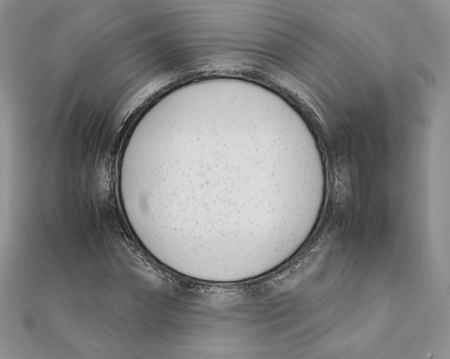 X0000111430874200908031329