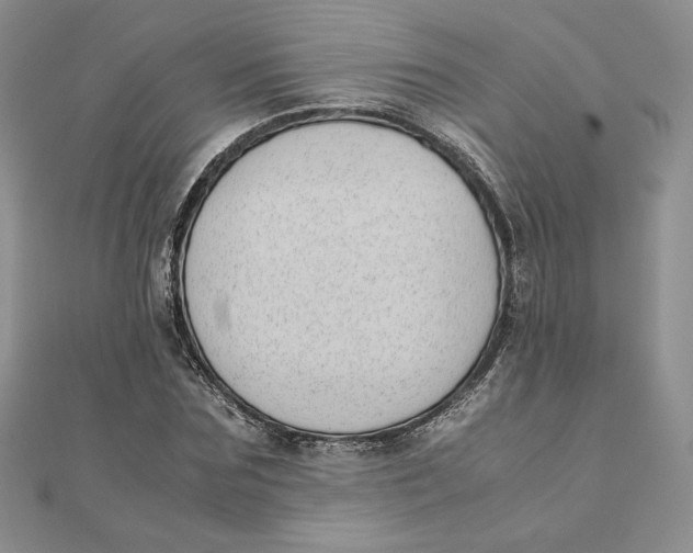 X0000111430875200908031329