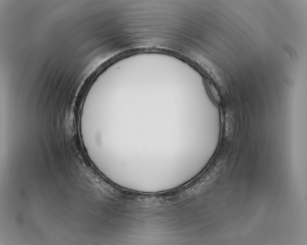 X0000111430876200908031329