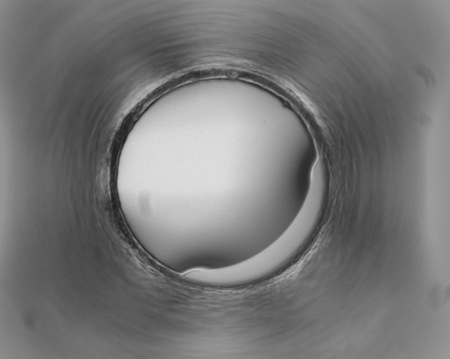 X0000111430877200908031329