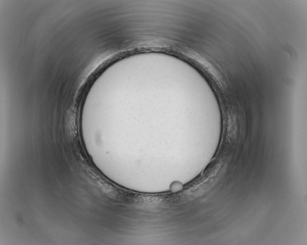 X0000111430878200908031329