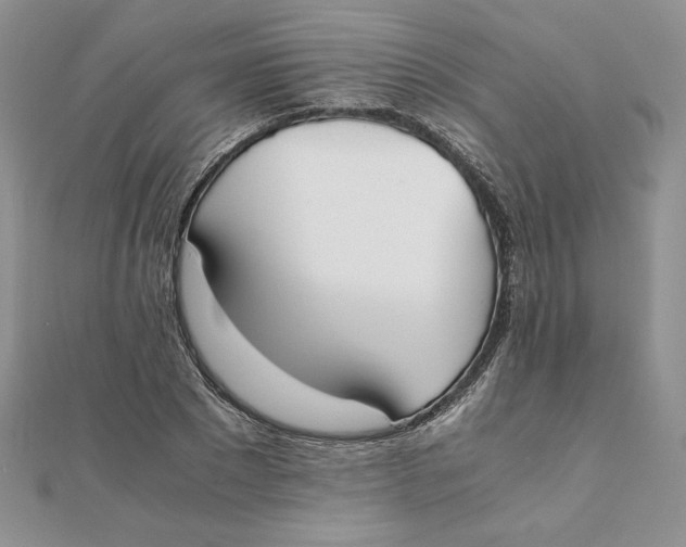 X0000111430881200908031329