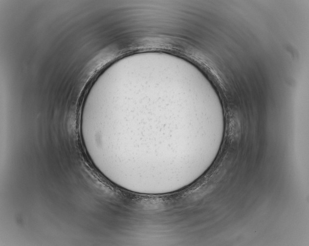 X0000111430882200908031329