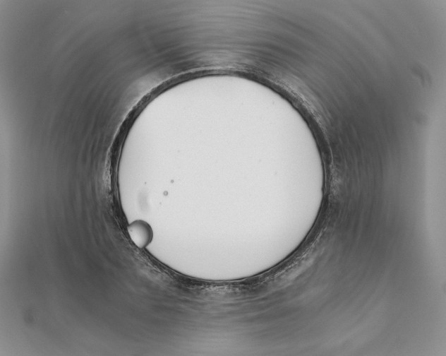 X0000111430883200908031329