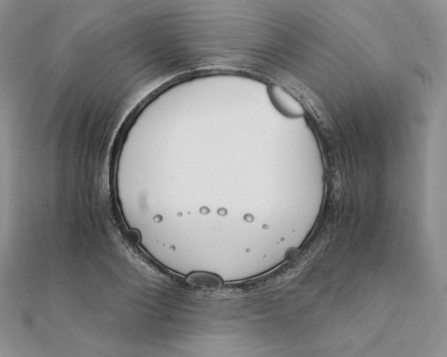 X0000111430884200908031329