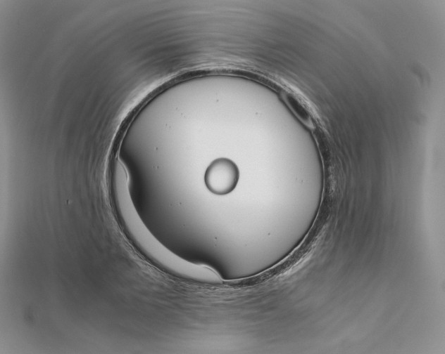 X0000111430885200908031329