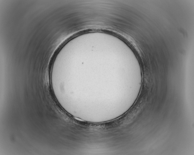 X0000111430887200908031329