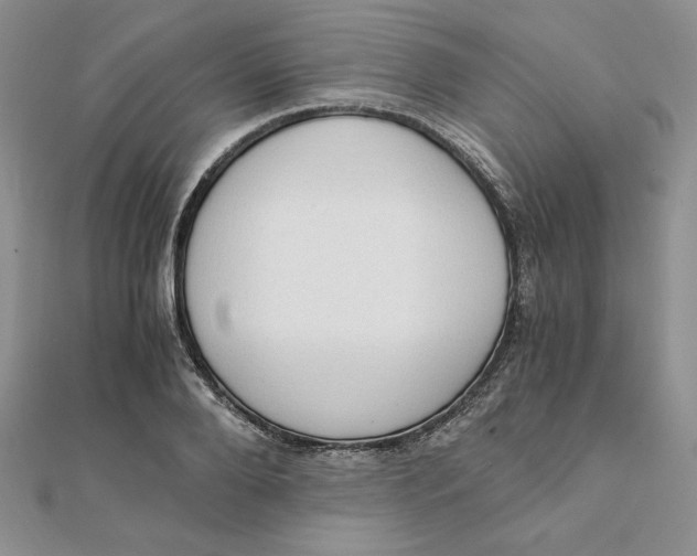 X0000111430888200908031329