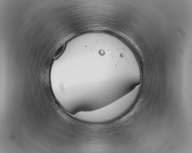 X0000111430889200908031329