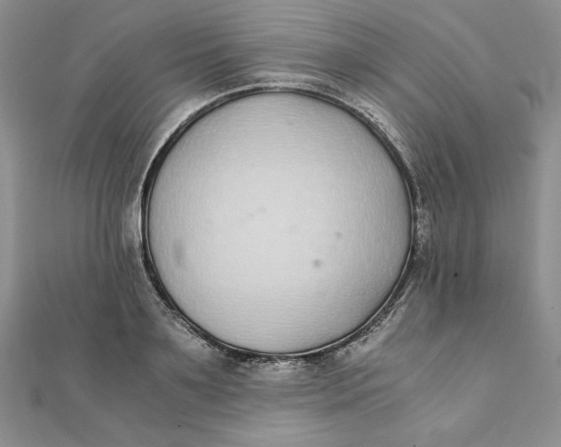 X0000111430891200908031329