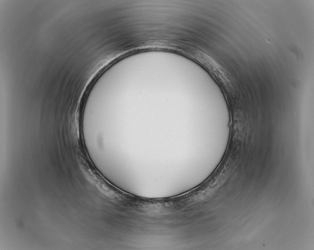 X0000111430892200908031329