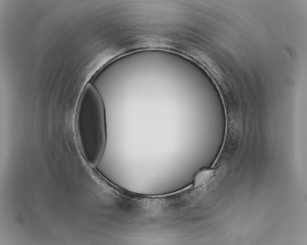 X0000111430893200908031329