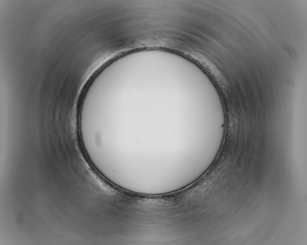 X0000111430894200908031329