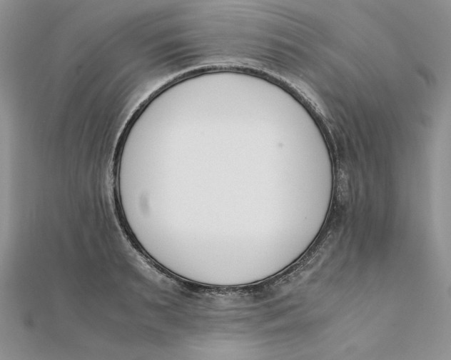 X0000111430895200908031329