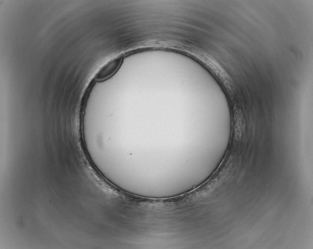 X0000111430896200908031329