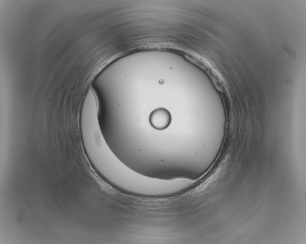 X0000111430897200908031329