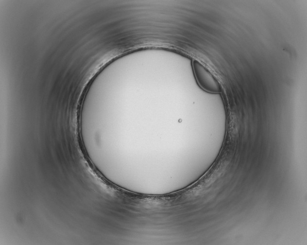 X0000111430898200908031329