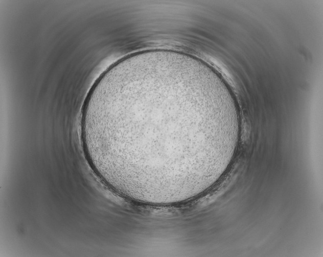 X0000111430899200908031329