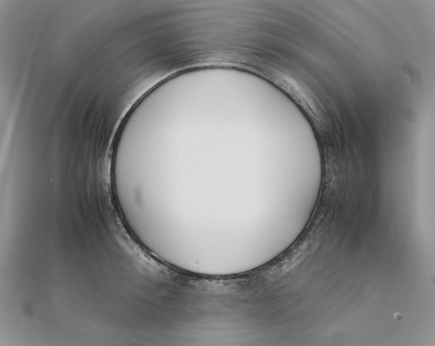 X0000111430900200908031329