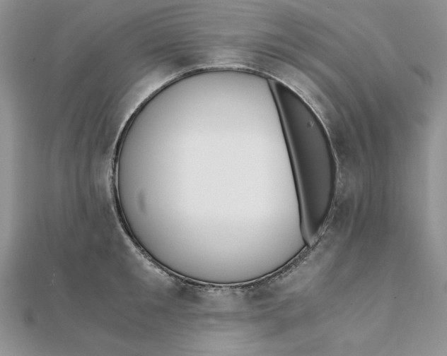 X0000111430901200908031329