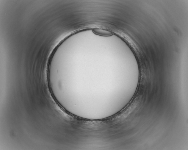 X0000111430902200908031329