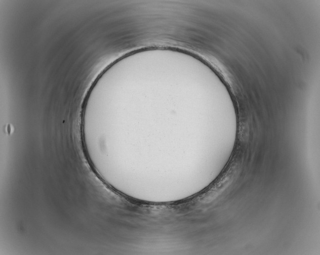 X0000111430903200908031329