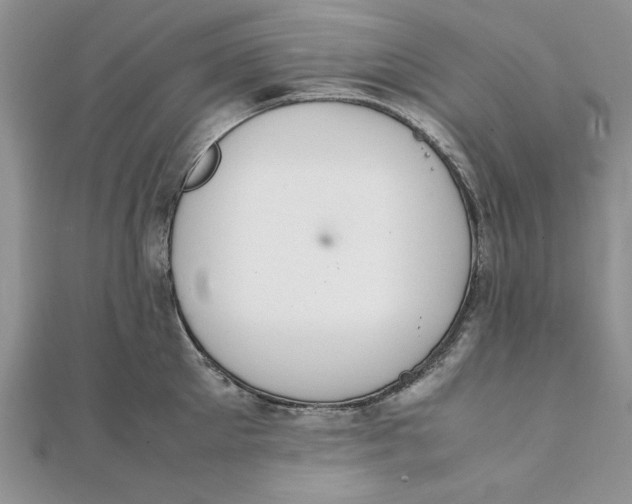 X0000111430905200908031329