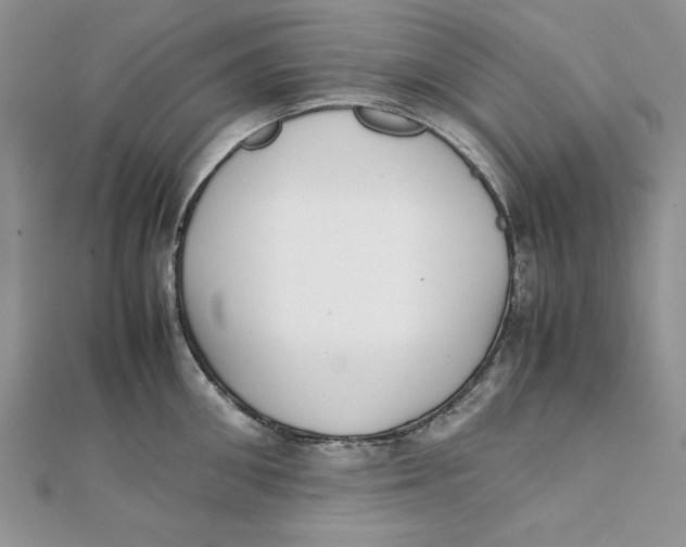 X0000111430906200908031329