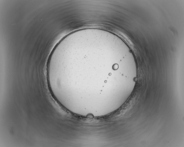 X0000111430907200908031329