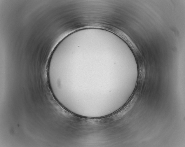 X0000111430908200908031329