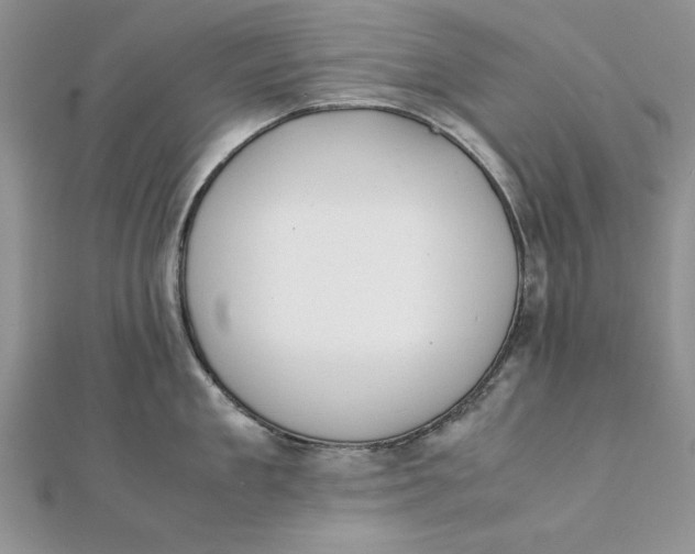 X0000111430909200908031329