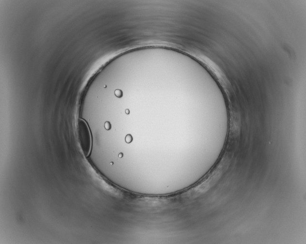 X0000111430910200908031329