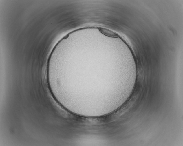 X0000111430911200908031329