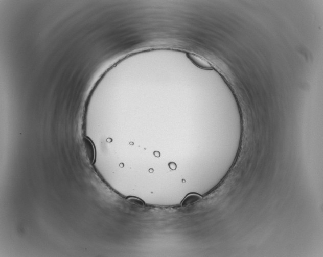 X0000111430912200908031329