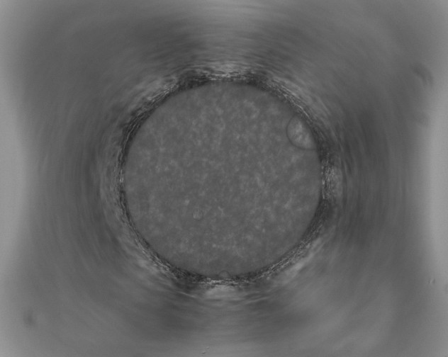 X0000111430913200908031328