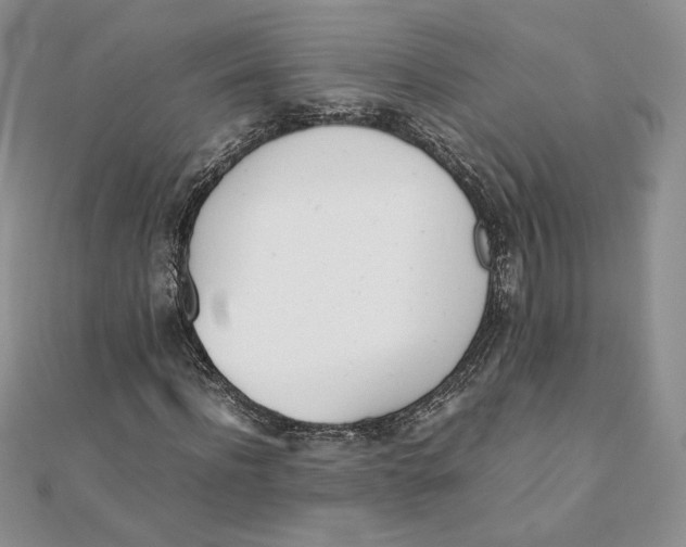 X0000111430916200908031328