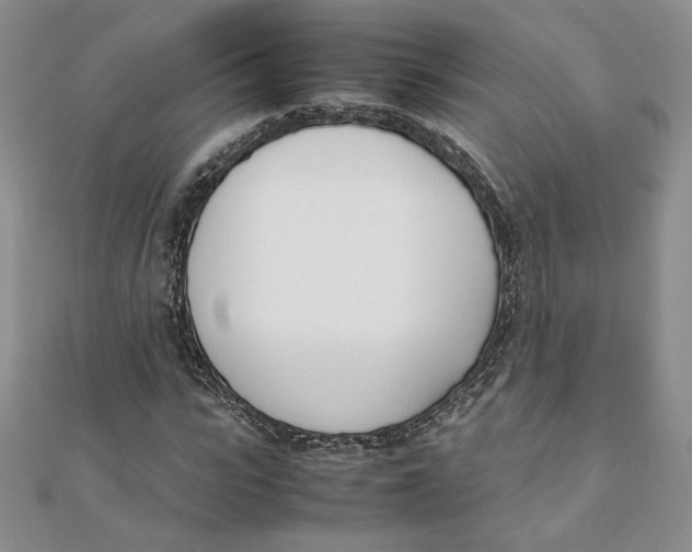 X0000111430919200908031328