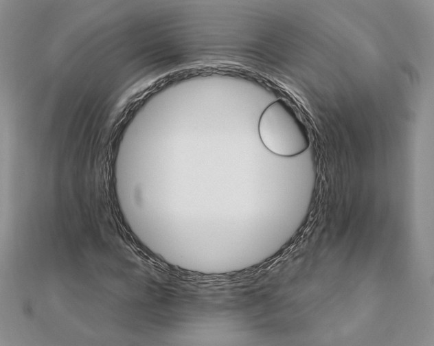 X0000111430920200908031328