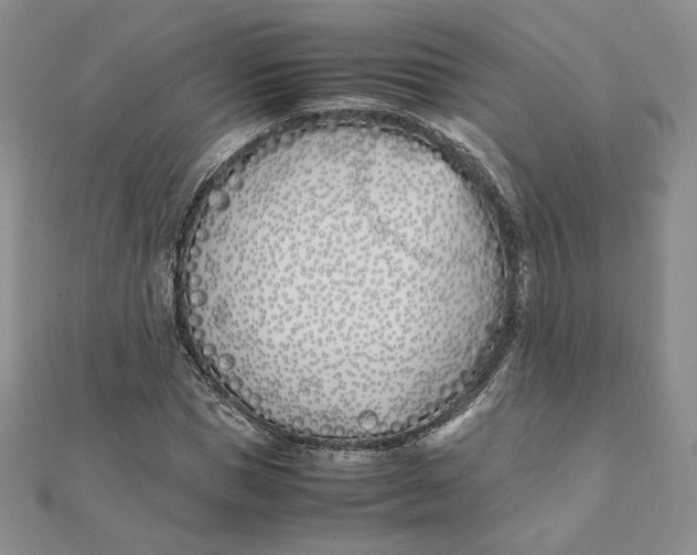 X0000111430921200908031328