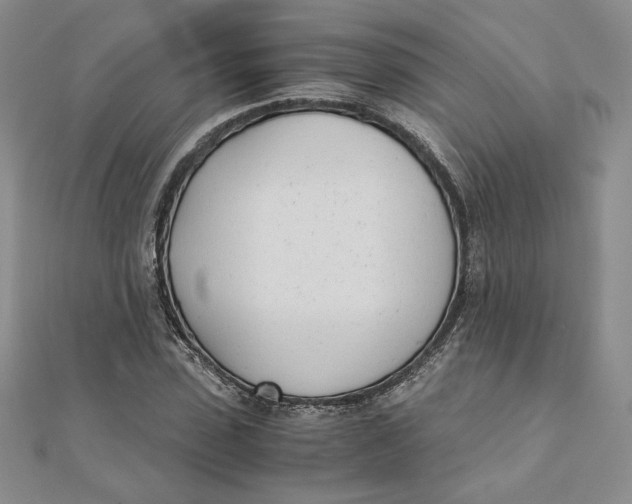 X0000111430923200908031328