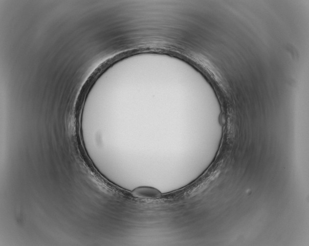 X0000111430924200908031328