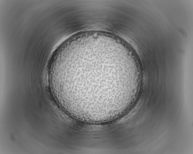 X0000111430925200908031328