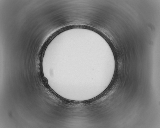 X0000111430926200908031328