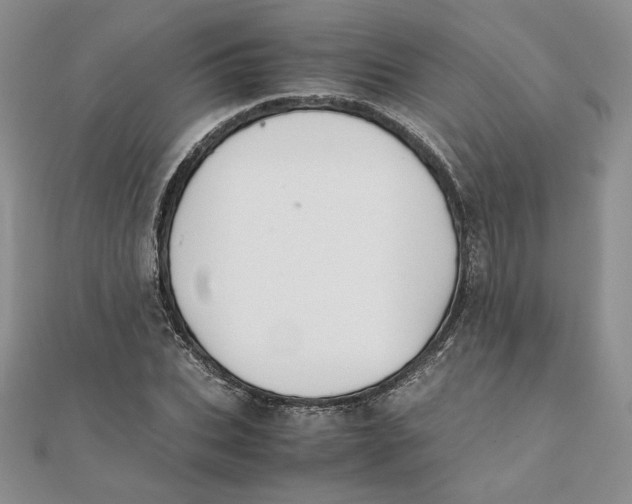 X0000111430927200908031328