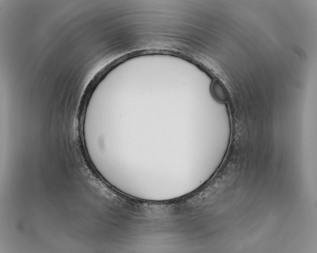 X0000111430928200908031328