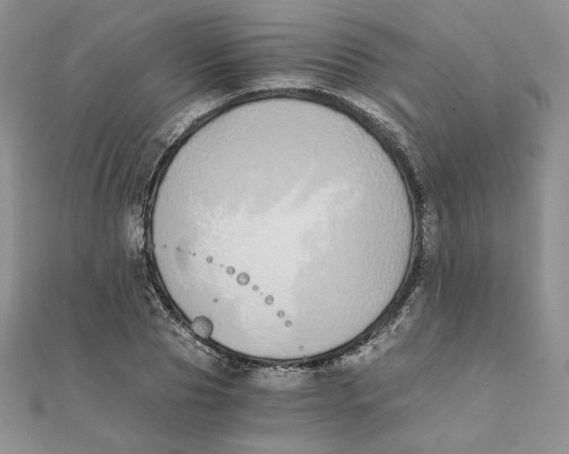 X0000111430929200908031328