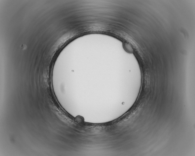 X0000111430930200908031328