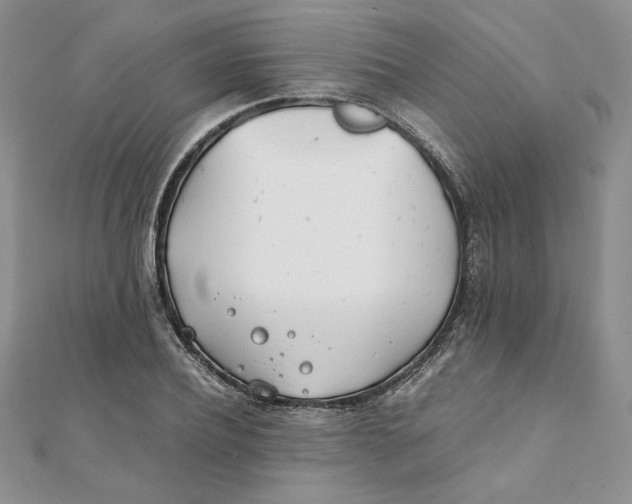 X0000111430932200908031328